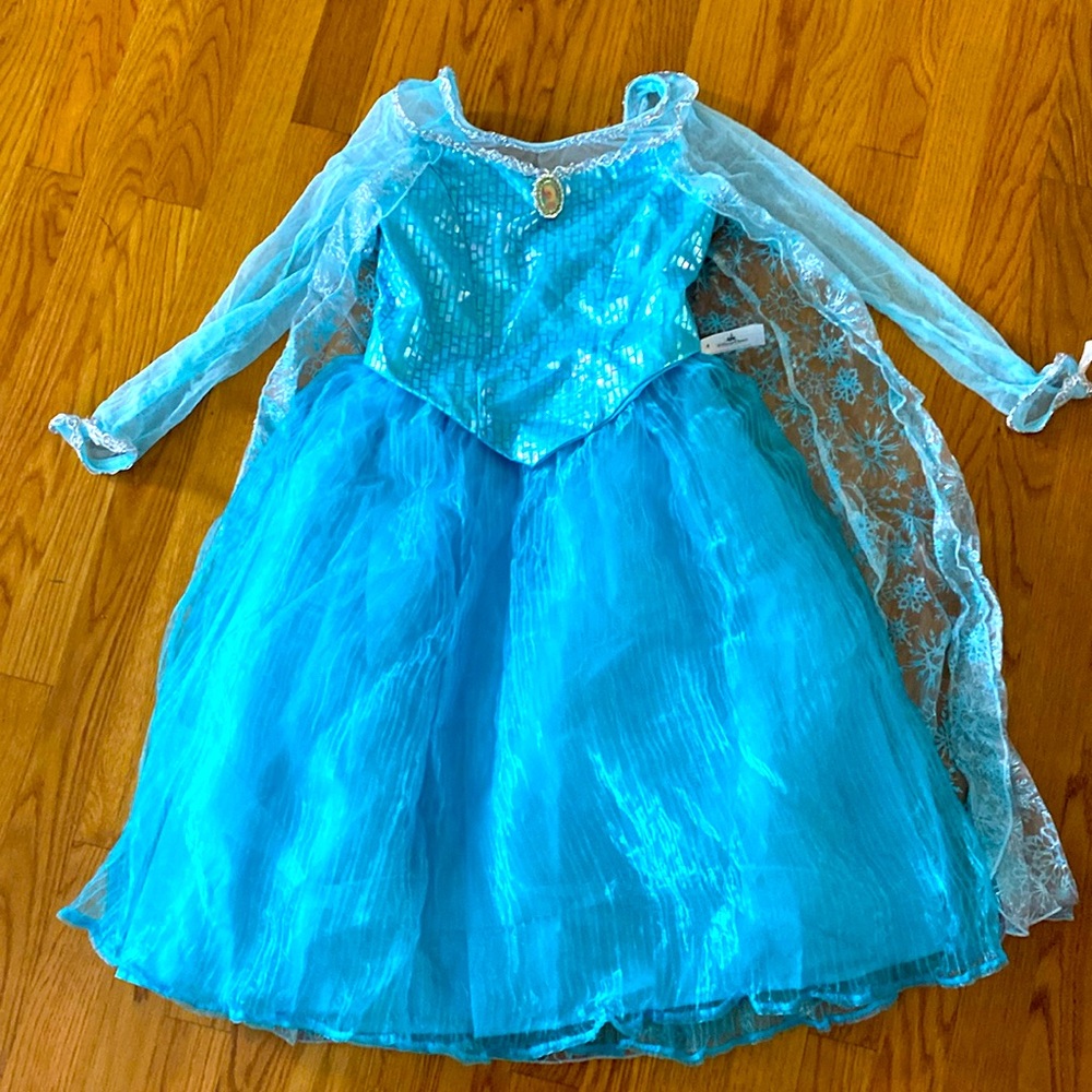 NWT Elsa costume from Disney store. Never worn, excellent condition. Size 10/12.